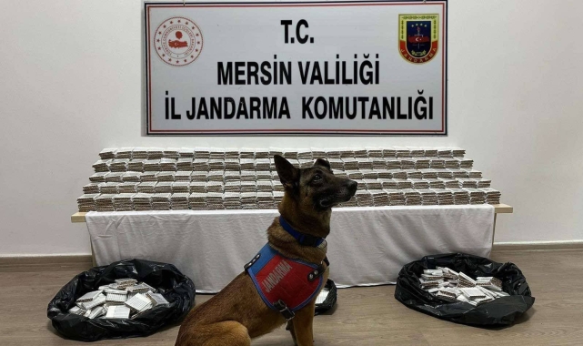 Mersin'de 61 bin 700 adet kaçak makaron ele geçirildi