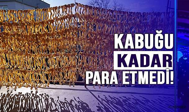 MEYVESİ YÜZ GÜLDÜRMEDİ KABUĞU ALTIN OLDU