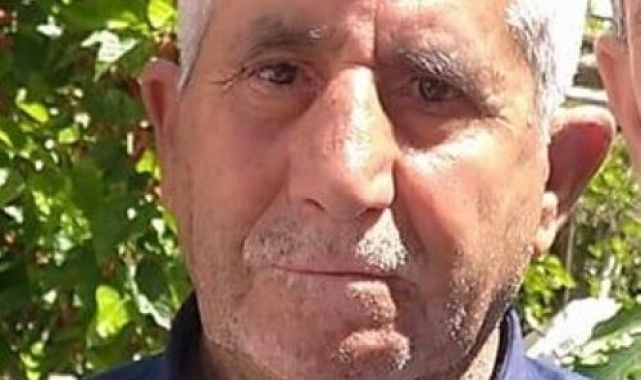 Mezarlıkta kestiği ağacın altında kalarak hayatını kaybetti