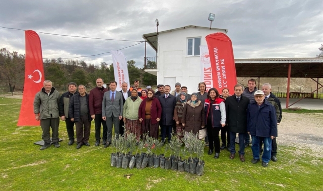 Orman yangınlarında zarar gören üreticilere 9 bin zeytin fidanı dağıtıldı