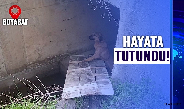 ÖZGÜRLÜĞÜNE KAVUŞTU!