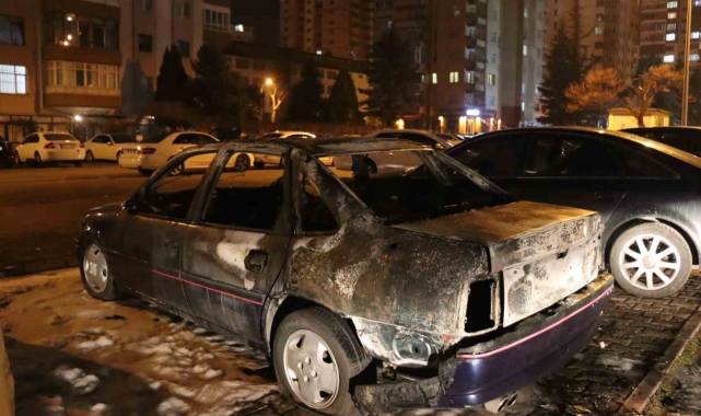 Park halindeki otomobil cayır cayır yandı