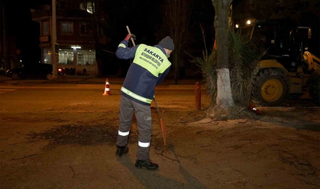 Sakarya'nın sembol noktalarına estetik dokunuş - Çevre - Sinop Flaş Haber