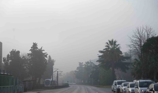 Samsun'da 'sis' etkili