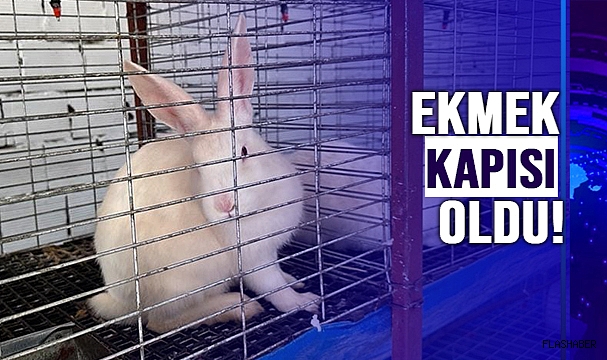 SİNOP'TA YETİŞİYOR!