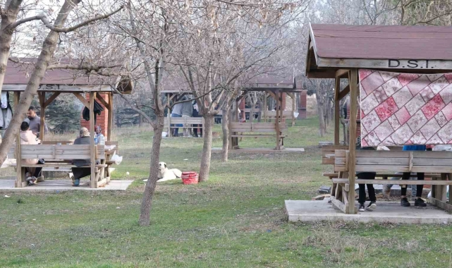 Şubat ortasında ilkbahar gibi piknik keyfi yaptılar