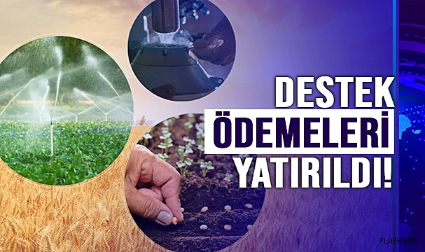 TARIMSAL DESTEKLEME ÖDEMESİ HESAPLARA AKTARILDI