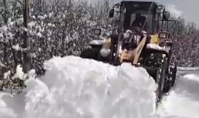 Tunceli'de kardan kapanan köy yolları ulaşıma açılıyor