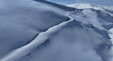 Uzungöl'ün zirvelerinde dronla tilkiyi saniye saniye takip etti