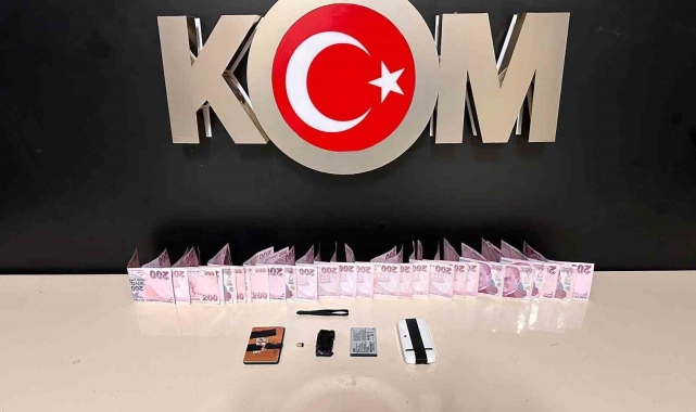 Van'da gümrük kaçakçılığı operasyonları