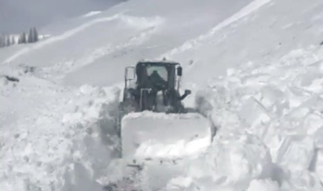 Varto'da köy yoluna çığ düştü