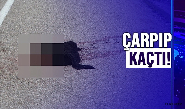 YAVRULAR ÖKSÜZ KALDI!