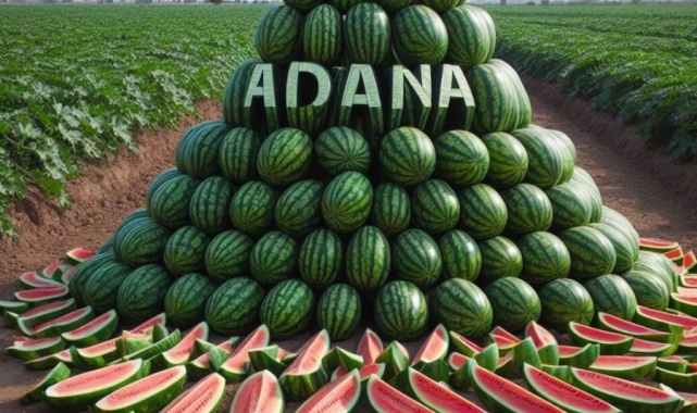 Adana karpuz üretiminde Türkiye'de birincisi oldu