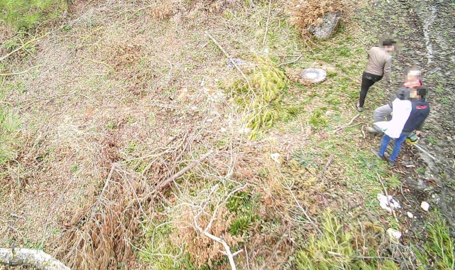 Balıkesir ormanları foto kapanlarla korunuyor