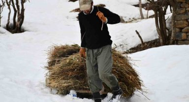 Besiciler 5 aydır kar tesviye edip kızaklarla saman taşıyor