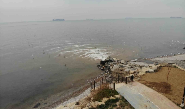 Beylikdüzü'nde kanalizasyon sularının denize aktığı yerde, deniz kahverengi döndü