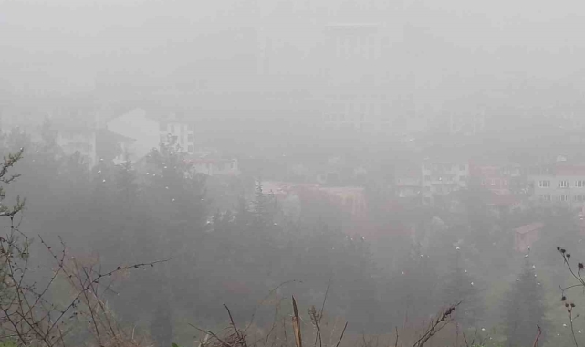 Bilecik'te sis etkili oldu