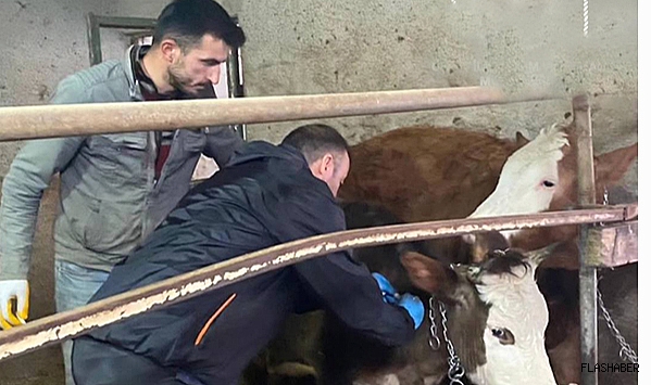 ÇALIŞMALAR HIZ KESMEDEN SÜRÜYOR!