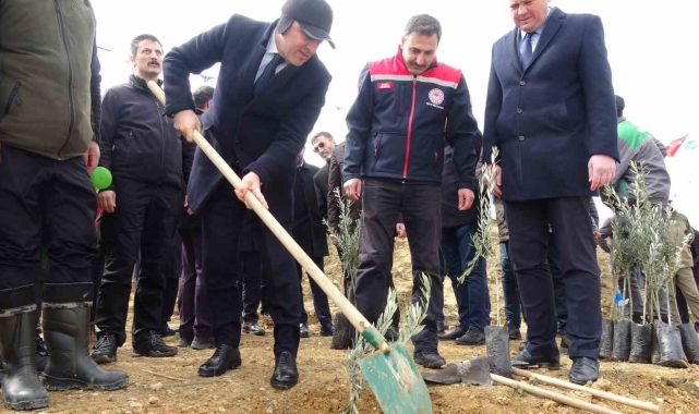 Dünya Ormancılık Günü'nde huzurevi bahçesine 2 bin fidan dikildi