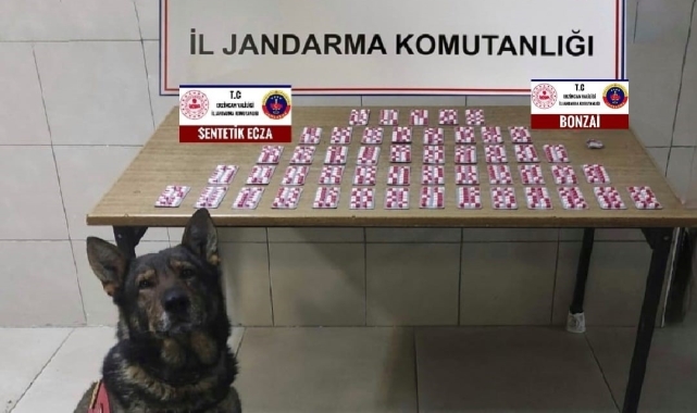 Erzincan'da uyuşturucu operasyonu
