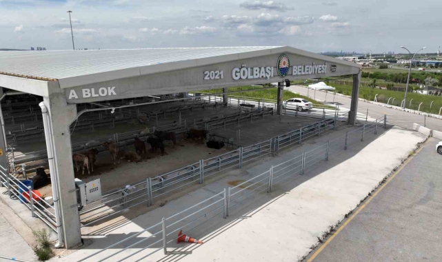 Gölbaşı'nda canlı hayvan pazarı ve borsası kuruluyor