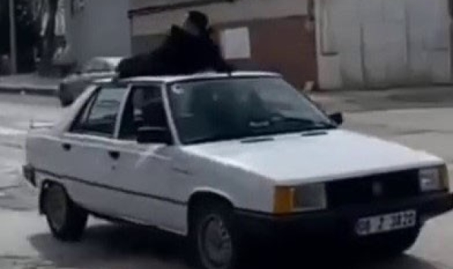 Hareket halindeki otonun tavanındaki yolculuk kötü bitti