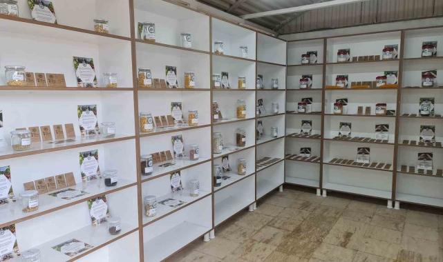 Kdz. Ereğli'de tohum bankası kurdu