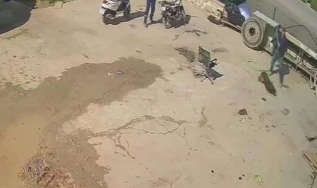 Köpeğe saldırana ev hapsi, izleyene barınakta çalışma cezası verildi