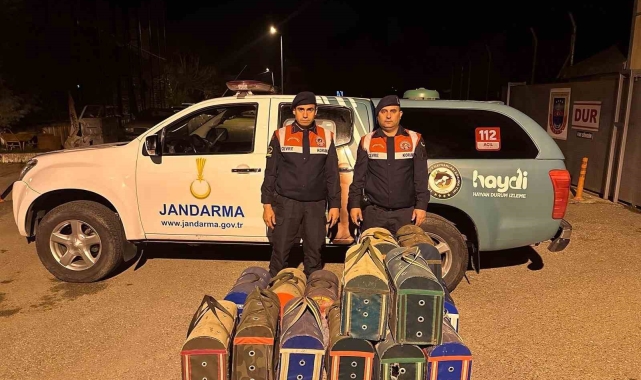 Manisa'da horoz dövüşüne suçüstü