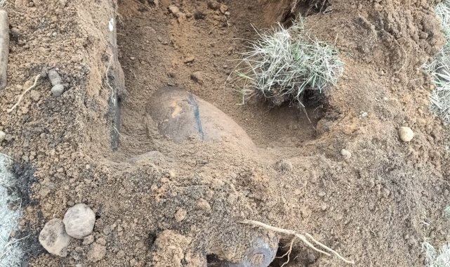 Polonya'da 300 kilo iki bomba bulundu, 500 kişi tahliye edildi