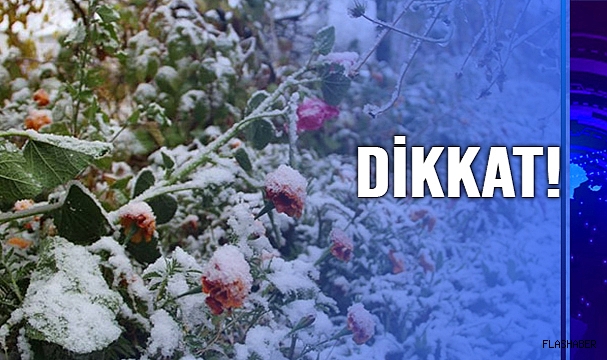SİNOP İÇİN ZİRAİ DON UYARISI!