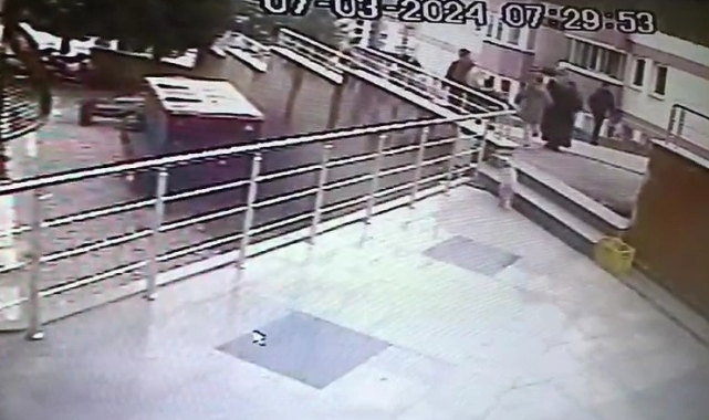 Sokak kedilerine çarpan sürücülere 14 bin 432 lira ceza