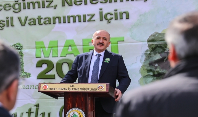 Tokat'ta 1500 çam fidanı toprakla buluşturuldu