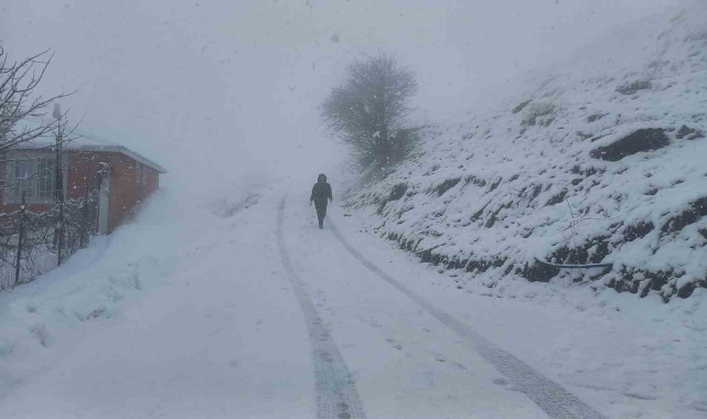 Tunceli'nin yüksek kesimlerinde kar yağışı etkili olmaya başladı