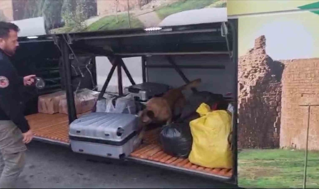 Valizden 21 kilo esrar çıktı