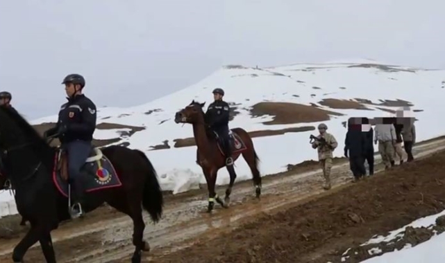 Van'da 199 düzensiz göçmen yakalandı