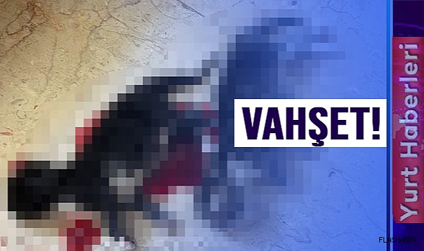 YAVRU KEDİLERİ BAŞLARINI KESEREK ÖLDÜRDÜLER!