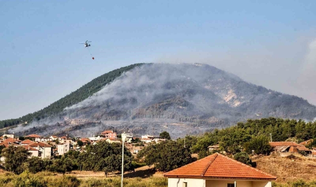 3 gün boyunca yandı, yeniden orman olması 30 yıl sürecek