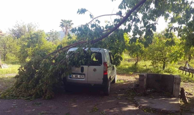 45 dakika yağdı, ağaçlar devrildi, çatı uçtu