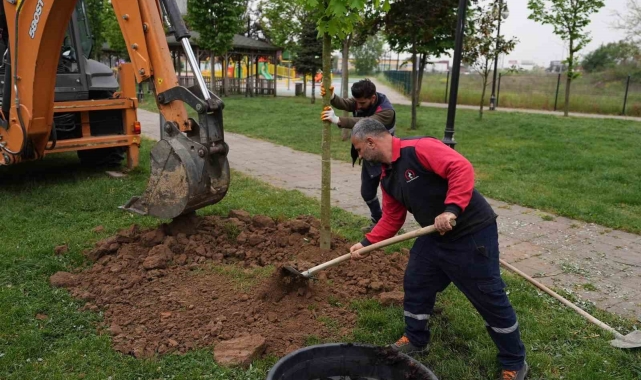 5 yılda 7 bin 140 ağaç toprakla buluştu