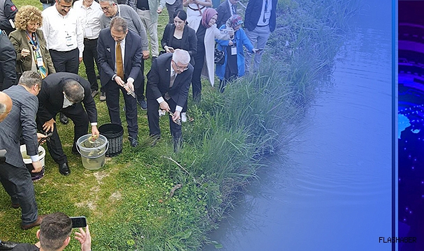 500 ADET MERSİN BALIĞI AKARSUYA BIRAKILDI!