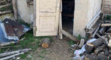 Aç kalan ayılar yayla evlerinden sonra köylerdeki kümeslere dadandı