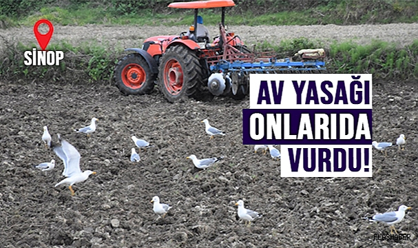 AÇ KALAN MARTILAR SOLUCAN AVINA ÇIKTI!