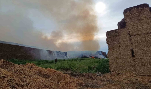 Adana'da saman balyalarının bulunduğu alanda yangın çıktı