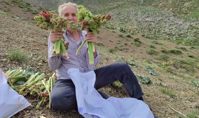Adıyaman'da ışkın toplamak için Türk Dağına tırmandılar