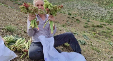 Adıyaman'da ışkın toplamak için Türk Dağına tırmandılar