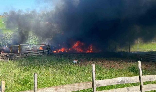 Ahır yandı, büyükbaş hayvan telef oldu