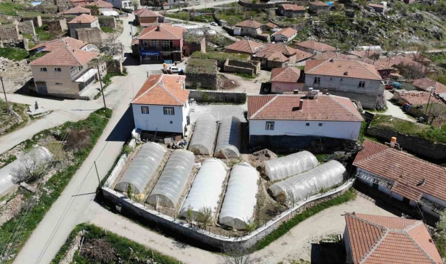 Aksaray'daki küçük Adana'da geçim seracılıktan