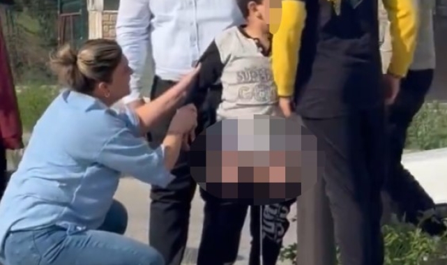 Ankara'da başıboş köpekler çocuğa saldırdı