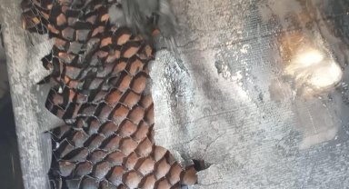 Antakya'da çıkan konteyner yangını söndürüldü